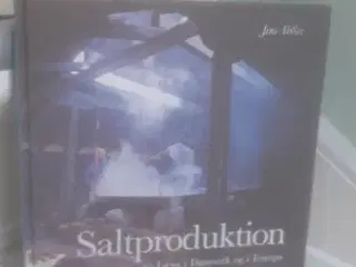 Saltproduktionen på Læsø