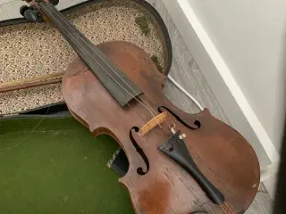 Violin