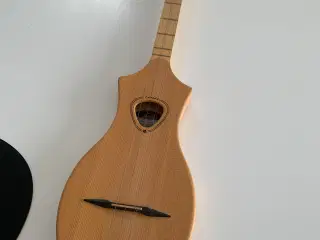 Merlin Seagull dulcimer / ukulele