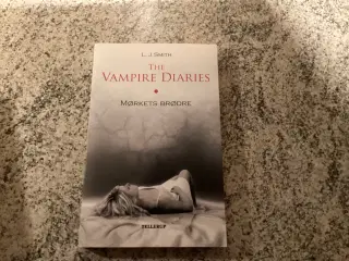 Bogen The Vampire Diaries Mørkets Brødre