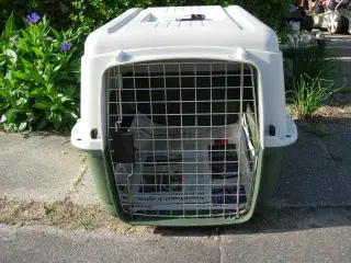Hundetransportkasse