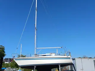 Nordship 808