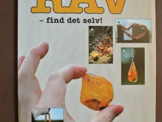 rav - find det selv, af stefan hestnes, emne: ande