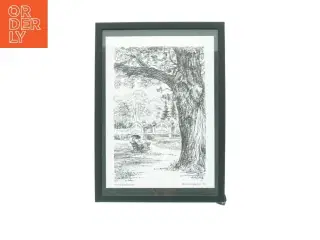 Billedramme med tegning fra Aldershvileparken (str. 32 x 23 cm)
