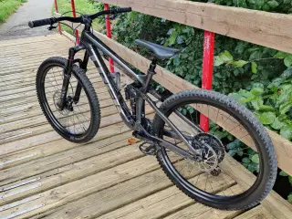 Trek Remedy 8