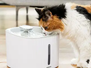 Drikkevandsfontæne til kæledyr Drinkatt InnovaGoods