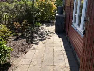 Kolonihave sælges