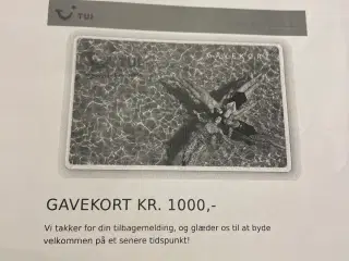 Gavekort til TUI. 