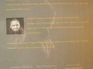 det danske vejr - ny i plast, af jesper theilgaard