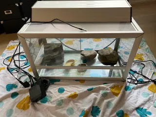 Terrarium 60x35x30 inkl tilbehør på billede 