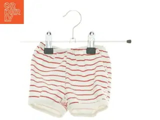 Shorts (str. 56 cm)