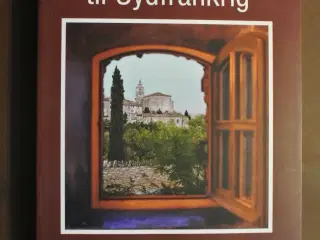 enkeltbillet til sydfrankrig - en praktisk guide t