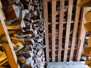 Savet, kløvet og stablet løv Brænde. Længde 50 cm