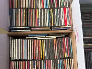 Div. Cd’er 