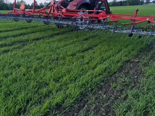 Unia 12meter ukrudt strigel