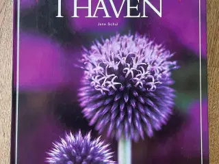 Farver i haven, Jane Schul