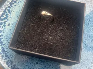 Sølv Ring med oxideret design