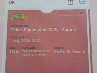 Cirkus Summarum 2 stk Aarhus 1. August. 2025 