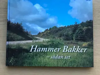 Hammer Bakker - sådan set