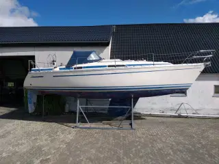  bavaria sejlbåd