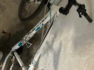 Cykel biligt 