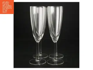 Champagneglas (str. 21,5 cm)