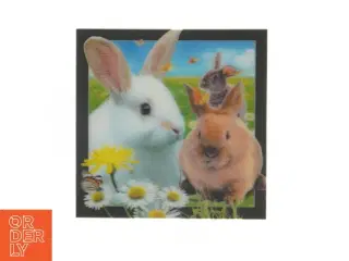 3D Postkort med kaniner (str. 15x15 cm)