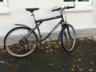 Cykel Terra Fox