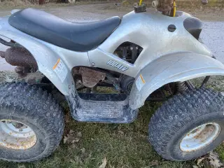 Yamaha 100 ATV