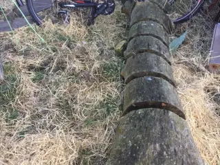 Træstamme til cykelparkering