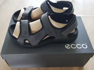 ECCO SANDAL 