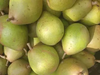 Friske Pærer og Æbler Blandede Varianter