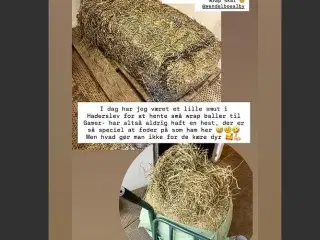 Lækkert 2. slet wraphø m/analyse