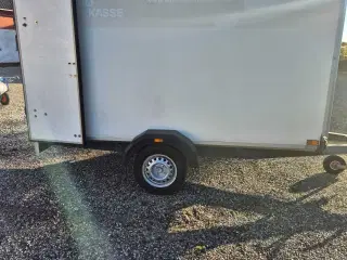 Super fin Variant trailer