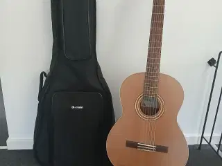 Guitar med tilbehør