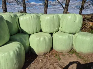 wrapballer 80×90