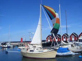 Sunspeed 25 Modersejler