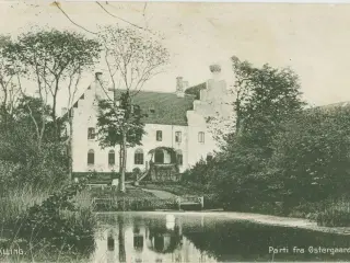 Salling 1909. Parti fra Østergaard