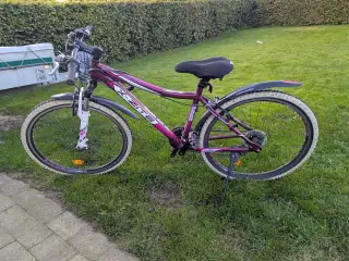 Mountainbike 