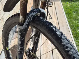 Mountain Bike stor