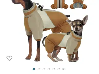 Hundetøj/beklædning