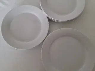 Tallerkener