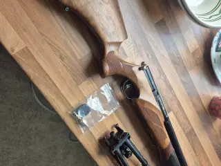 BSA R10 PCP HØJ KVALITETS LIFTGEVÆR Cal. 22/5.5 m
