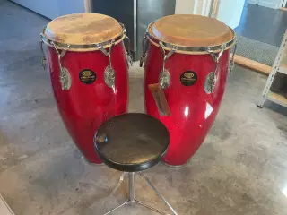 Congas - Supercussion