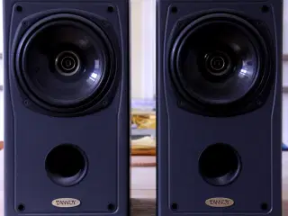 Tannoy Saturn S6LR højtalere