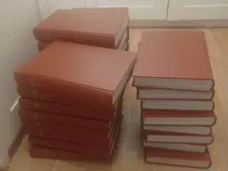 National Geographic indbundet samling