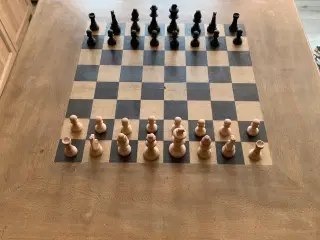 Skakbord