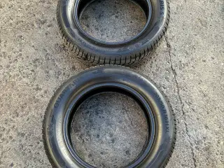 2 stk friske helårsdæk