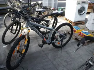 Juniorcykel