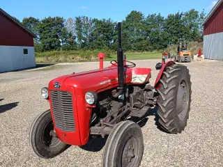 Massey Ferguson 35 ,3 cyl diesel